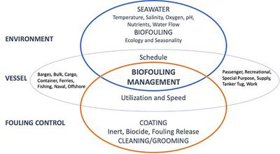 Proactive In-Water Ship Hull Grooming as a Method to Reduce the Environmental Footprint of Ships